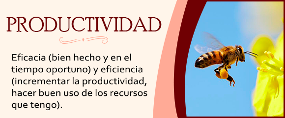 PRODUCTIVIDAD